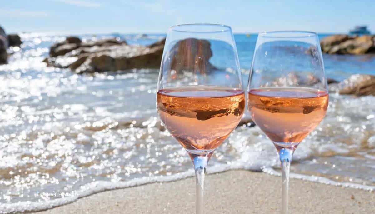 Best French rose wines for summer charter